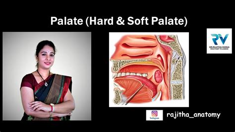 soft paste or hard paste tongue test|hard paste vs soft paste.